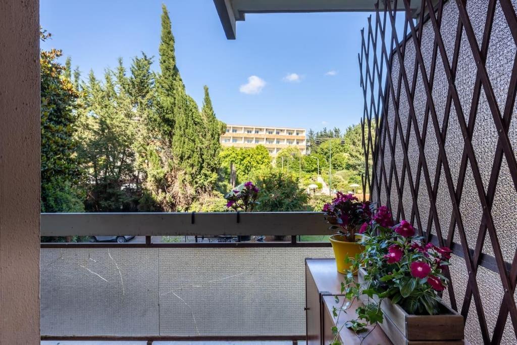 Plaza Cheery Apartamento
